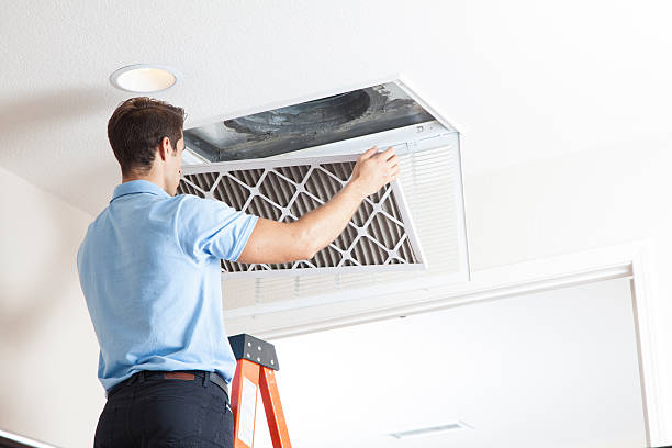 Best HVAC Tune-Up Services  in Dalhart, TX